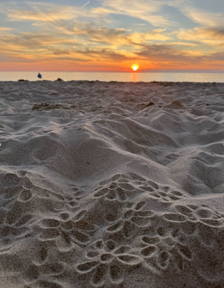 Lakeshore summer events