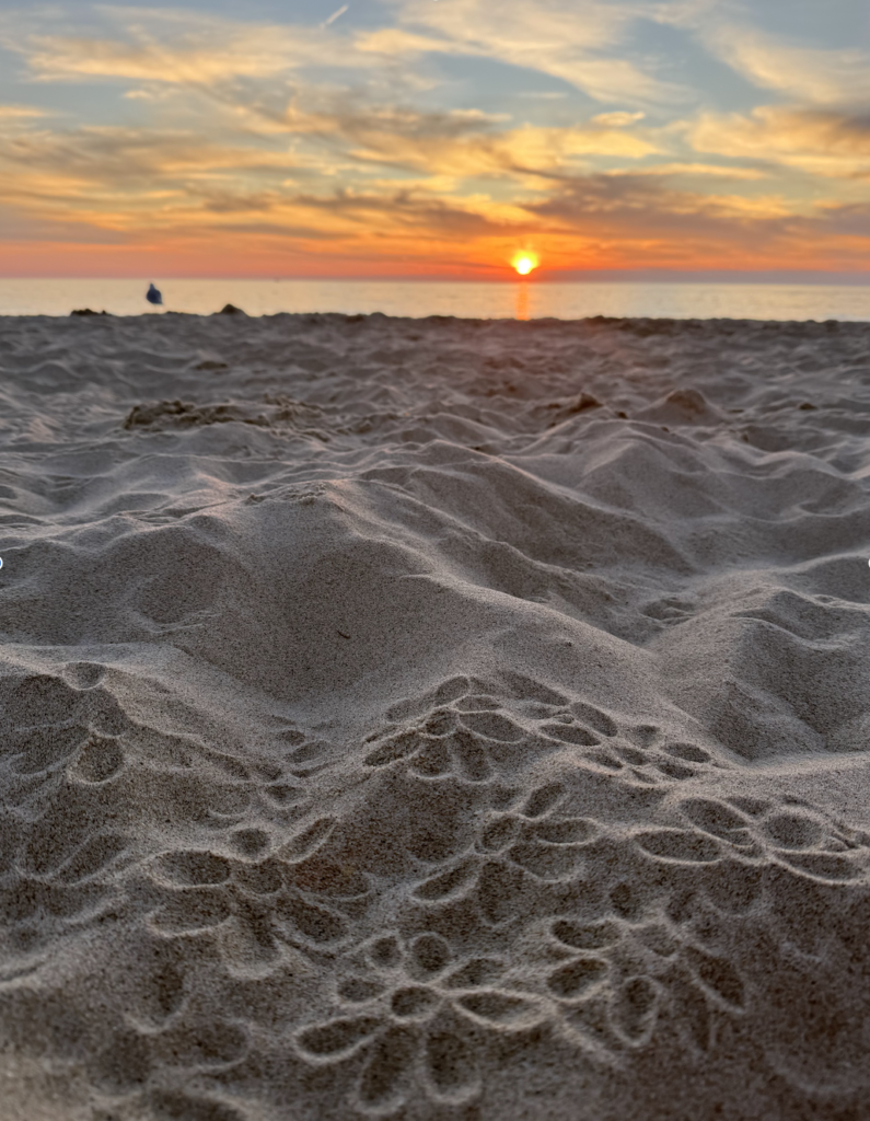 Lakeshore summer events