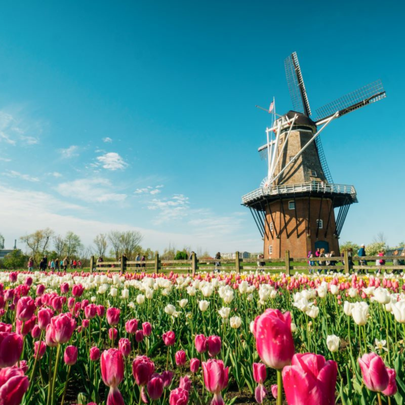 windmill-gardens-hollan-michigan